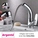 Gadgets d'Eve SPOUTY™ : Robinet de Cuisine avec Bec Extractible